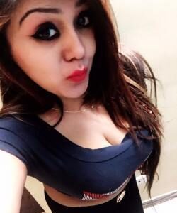 Call Girls In Noida SecTor,65-☎ 7838860884-High Profile Independent Escorts In Delhi NCR