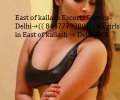 Call Girls In Noida sector 42,Call Us (( 8447779280¶ Noida Escorts Low Price In 24/7 Delhi NCR